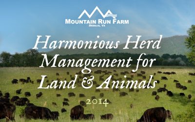 Harmonious Herd Management for Land and Animals (Presentation)