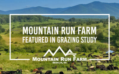 Mountain Run Farm Featured In Grazing Study