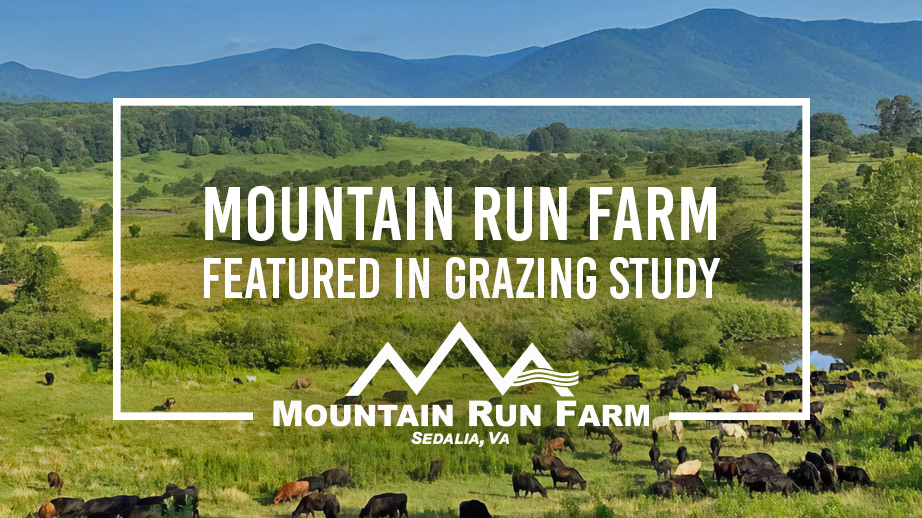 Mountain Run Farm featured in NCAT ATTRA regenerative grazing study